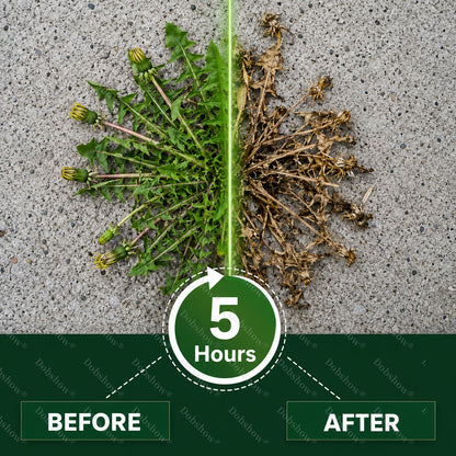 🍃🍃Healrize® 5-Hour Max Power Dual-Action Herbicide