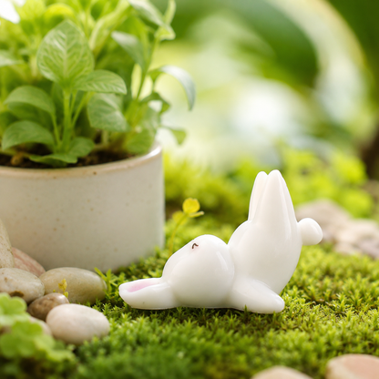 Cute Sport Bunny Desktop Decor